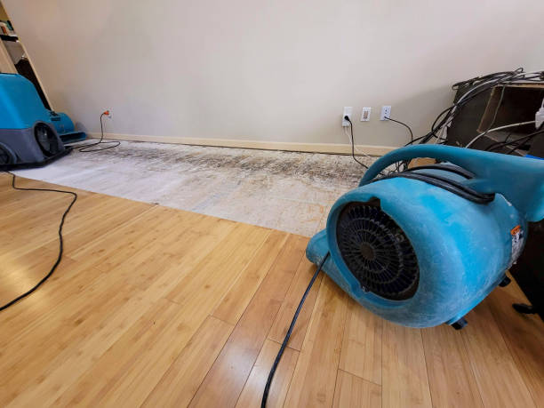 Professional Water Removal technician working in Three Lakes, FL